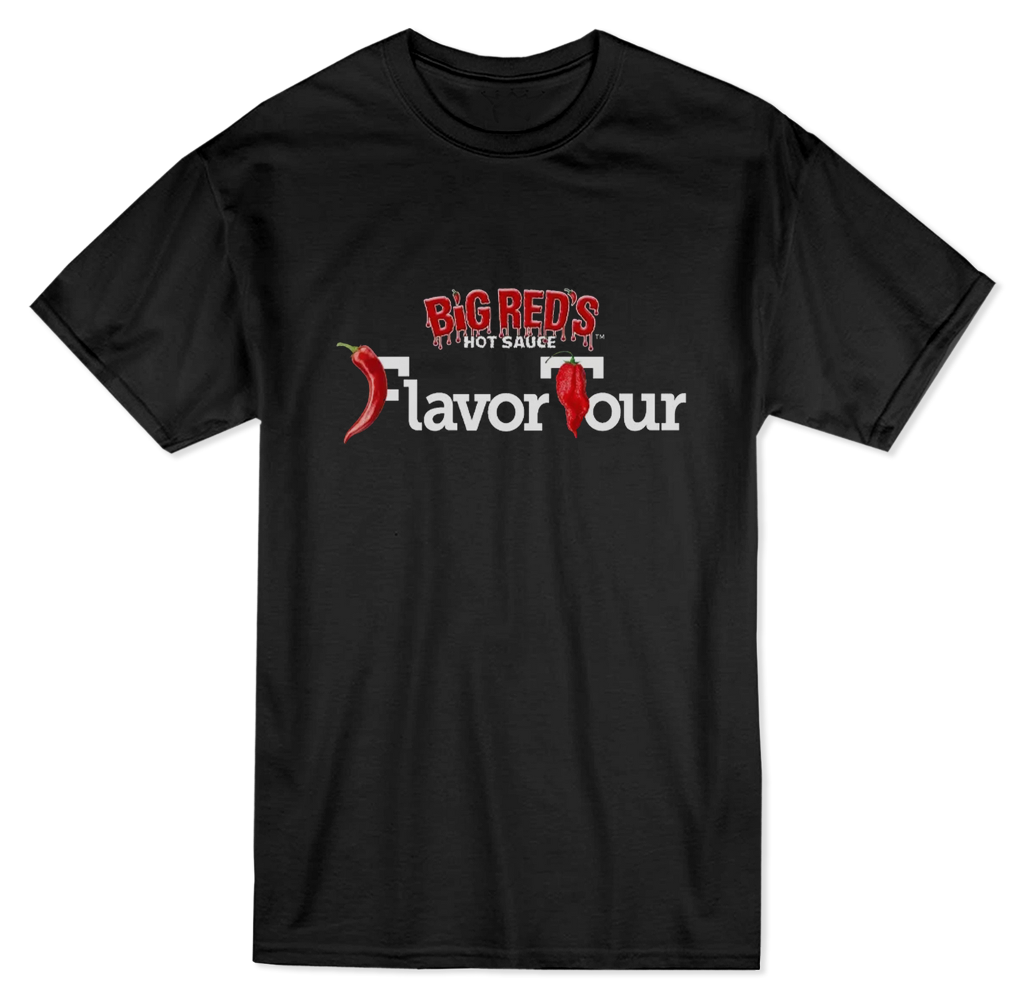 Flavor Tour T-shirt